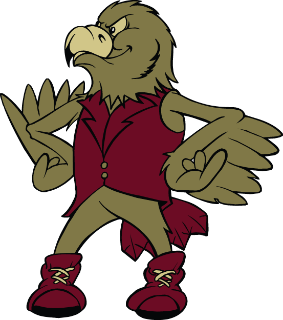 Denver Pioneers 1999-2003 Mascot Logo iron on transfers for clothing